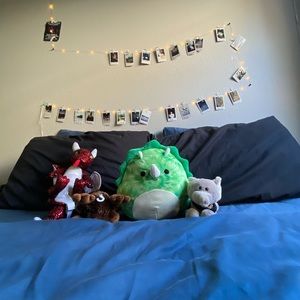 Meet your Posher, Ethan